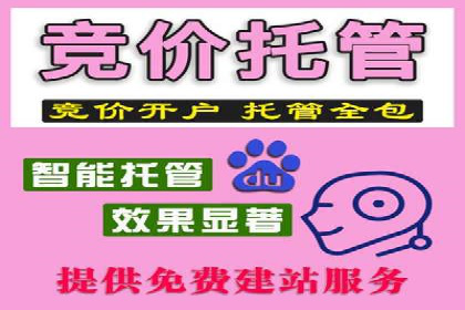深入解析SEM竞价培训：成功企业的投放策略